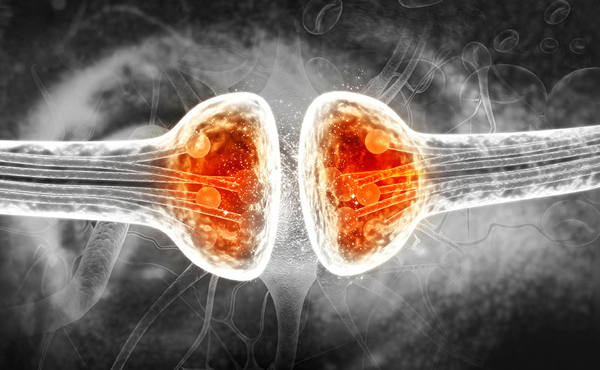 EMS electrostimulare musculara