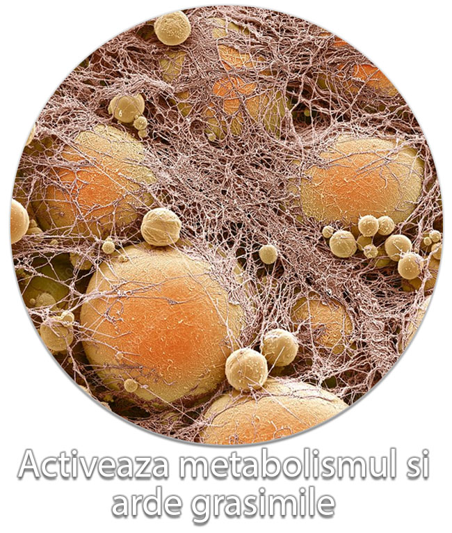 cum sa scapi de celulita